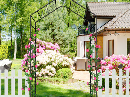 Garden Arch, Climbing Plants Support Outdoor - Black