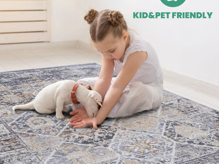 Payas - 6' X 9' Traditional Area Rug - Multi