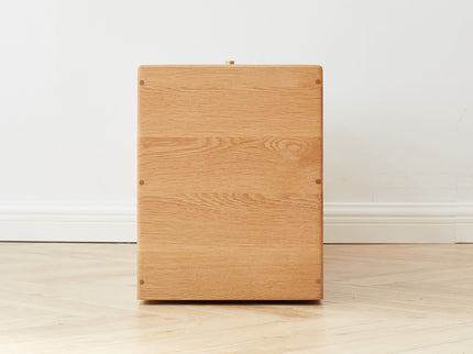 Free-Standing Corner Storage Cabinet For Living Room