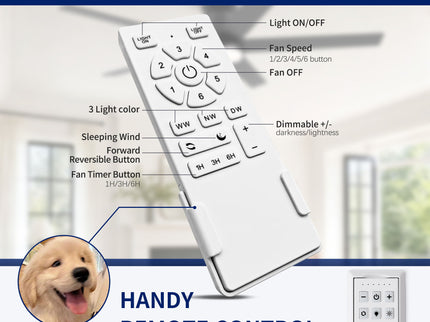 Flush Mount Ceiling Fan With Light