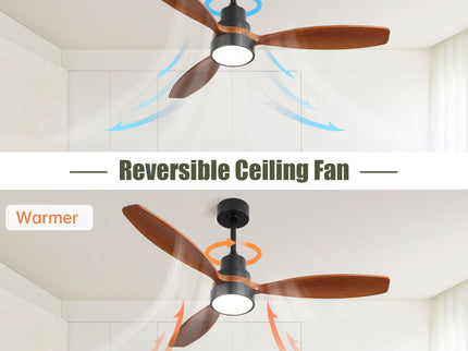 Ceiling Fan With Reversible DC Motor, LED Light, Solid Blades, Remote Control