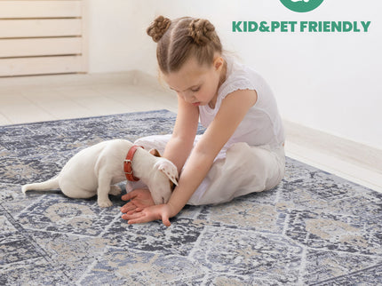 Payas - Traditional Area Rug