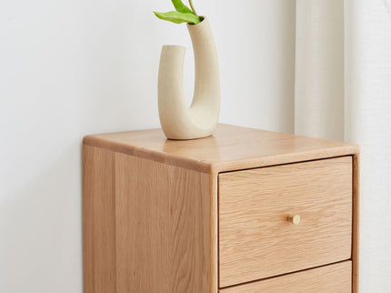 Free-Standing Corner Storage Cabinet For Living Room