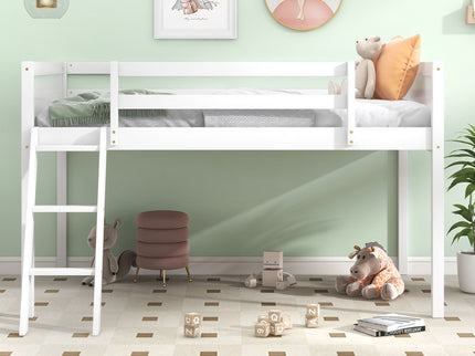 Low Loft Bed With Adjustable Ladder
