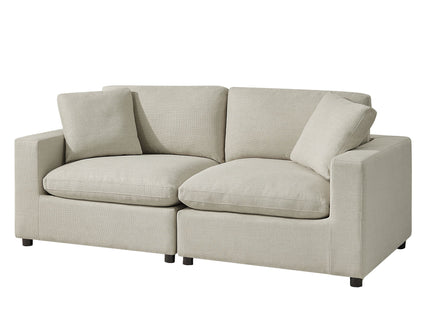 Cassandra - Modular 2 Piece Sofa