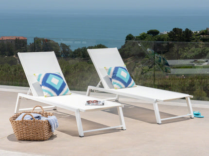 Myers - Modern Chaise Lounge Set With Adjustable Back