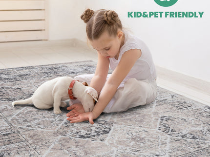 Payas - 6' X 9' Traditional Area Rug - Cream / Anthracite