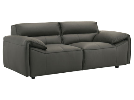 Hudson - 2 Piece Upholstered Sofa Set