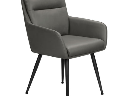 Dining Chair Kitchen & Dining Room Furniture (Set of 2)
