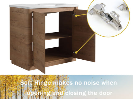 Freestanding Bathroom Vanity With Sink & 2 Soft Close Doors
