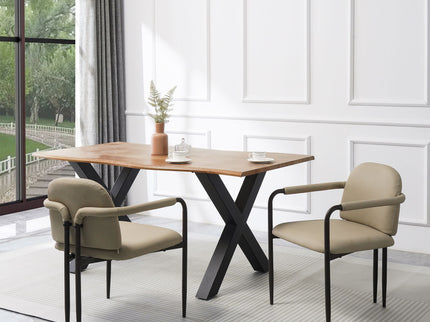 Modern Dining Chair (Set of 2) With Iron Frame - Espresso / Khaki