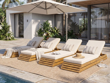 Chaise Lounge Set With 2 Fold Cushion