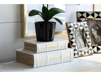 Book Boxes (Set of 2) - White / Gold