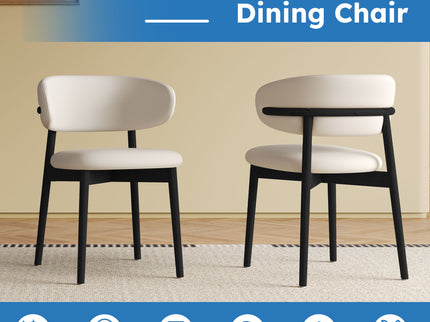 Mid-Century Modern Dining Chair (Set of 2)
