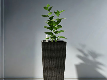 Indoor Outdoor Planter With Automatic Watering System