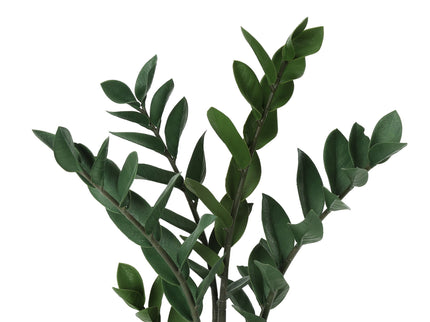 29" Tall, Artificial Plant, Zz Tree, Indoor, Faux, Fake, Floor, Greenery, Potted, Real Touch, Decorative - Green / Black