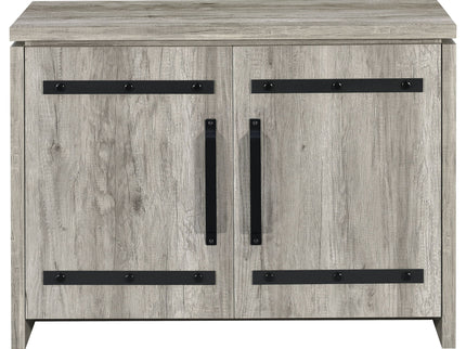 2 Door Accent Cabinet With Accents - Gray