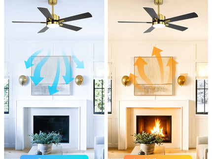 Reversible DC Motor Ceiling Fan With Dimmable LED Light For Living Room