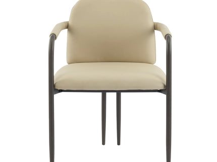 Modern Dining Chair (Set of 2) With Iron Frame - Espresso / Khaki