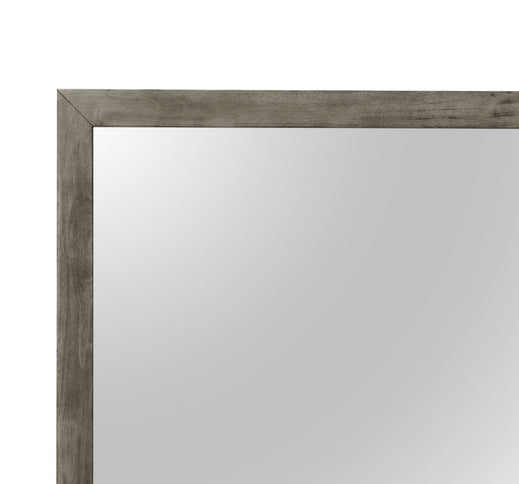 Modern Design Transitional Wall Mirror