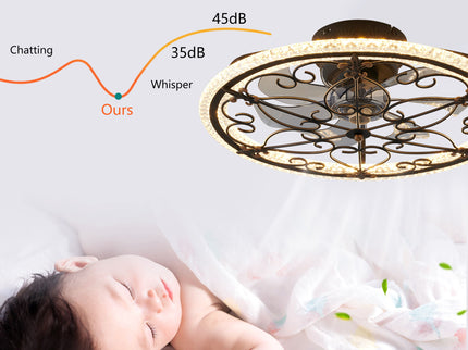 Caged Ceiling Fan With Remote Controlled LED Light - Matte Black