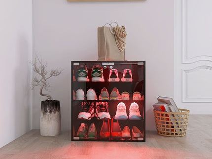 4 Layers Shoe Cabinet With Glass Door And Glass Layer Shoes Display Cabinet With LED Light Bluetooth Control - Black
