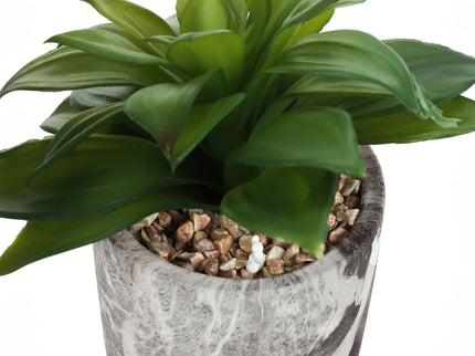 6" Tall, Artificial Plant, Succulent, Indoor, Faux, Fake, Table, Greenery, Potted, Decorative (Set of 2) - Green / Gray