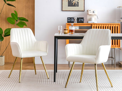 Modern Mid Back Dining Chairs