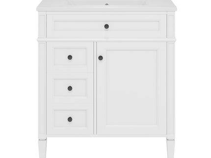 Bathroom Vanity With Top Sink, Storage Cabinet With 2 Drawers, Tip Out Drawer