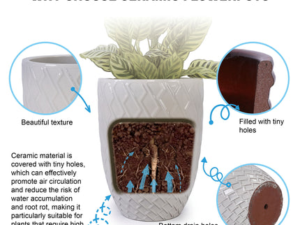 Ceramic Flowerpot, Planter For Patio, Garden, Windowsill