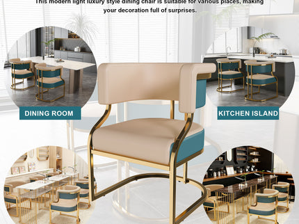 Dining Chairs Ergonomic Curved Backres (Set of 2) - Blue / Neutral