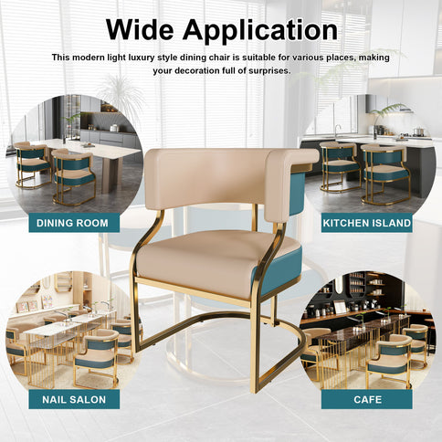 Dining Chairs Ergonomic Curved Backres (Set of 2) - Blue / Neutral