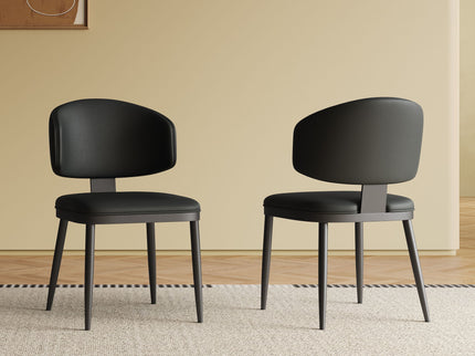 Modern Dining Chairs For Kitchen (Set of 2)