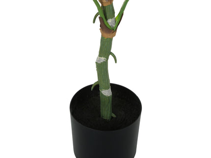54" Tall, Artificial Plant, Dieffenbachia Tree, Indoor, Faux, Fake, Floor, Greenery, Potted, Real Touch, Decorative - Green / Black