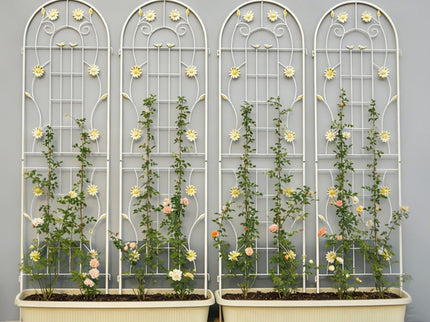 Metal Garden Trellis Rustproof Trellis For Climbing Plant Outdoor Flower Support