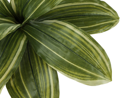 17" Tall, Artificial Plant, Dracaena, Indoor, Faux, Fake, Table, Greenery, Potted, Real Touch, Decorative - Green / Black