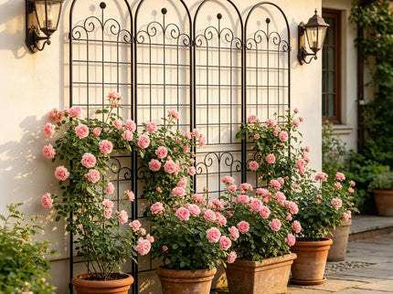 Metal Garden Trellis For Climbing Plants Outdoor Rustproof Plant Support Rose Trellis Netting Trellis