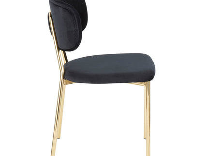 Bouton - Contemporary / Glam Chair (Set of 2)