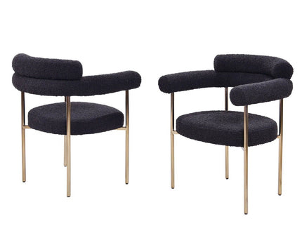 Upholstered Accent Dining Chairs With Armrests (Set of 2)