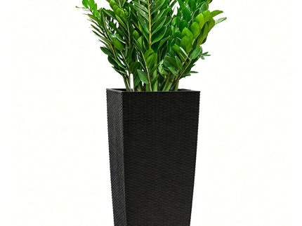 Indoor Outdoor Planter With Automatic Watering System