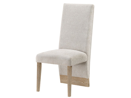 Stacey - Contemporary Dining Chair (Set of 2)
