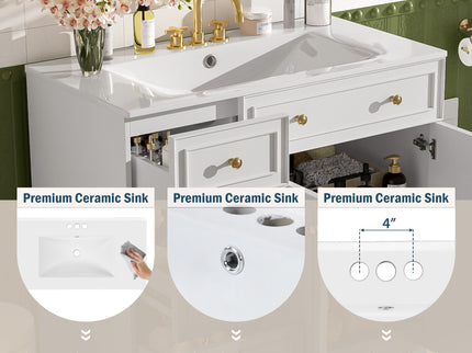 Bathroom Vanity With Sink, Soft Close Doors, Adjustable Shelves