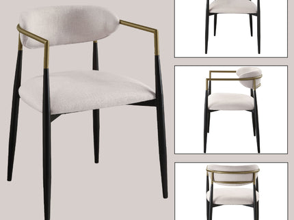 Jaramillo - Contemporary Side Chair (Set of 2)