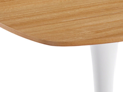 Modern Stylish Design Dining Table
