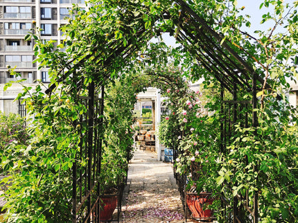 Garden Arch With Adjustable Width Climbing Plants Support - Black