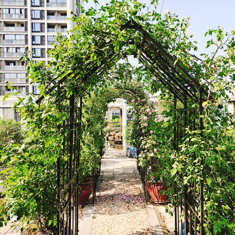 Garden Arch With Adjustable Width Climbing Plants Support - Black