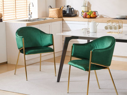 Modern Upholstered Dining Chair With Frame And