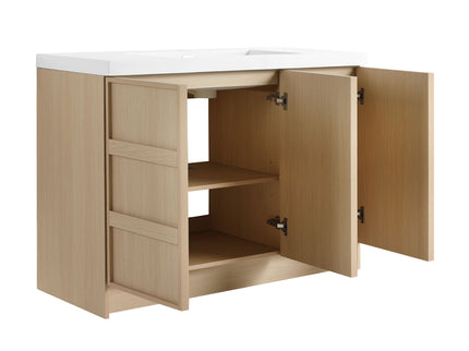 Freestanding Bathroom Vanity With Sink & 2 Soft Close Cabinet Doors