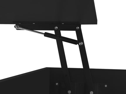 Lift Top Coffee Table With 2 Drawers, Hidden Space And LED Lights For Living Room
