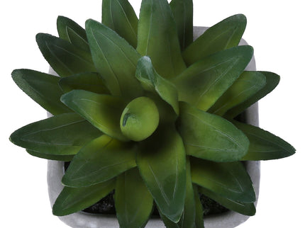 Artificial Succulent, Table Decor (Set of 2) - Green / Gray